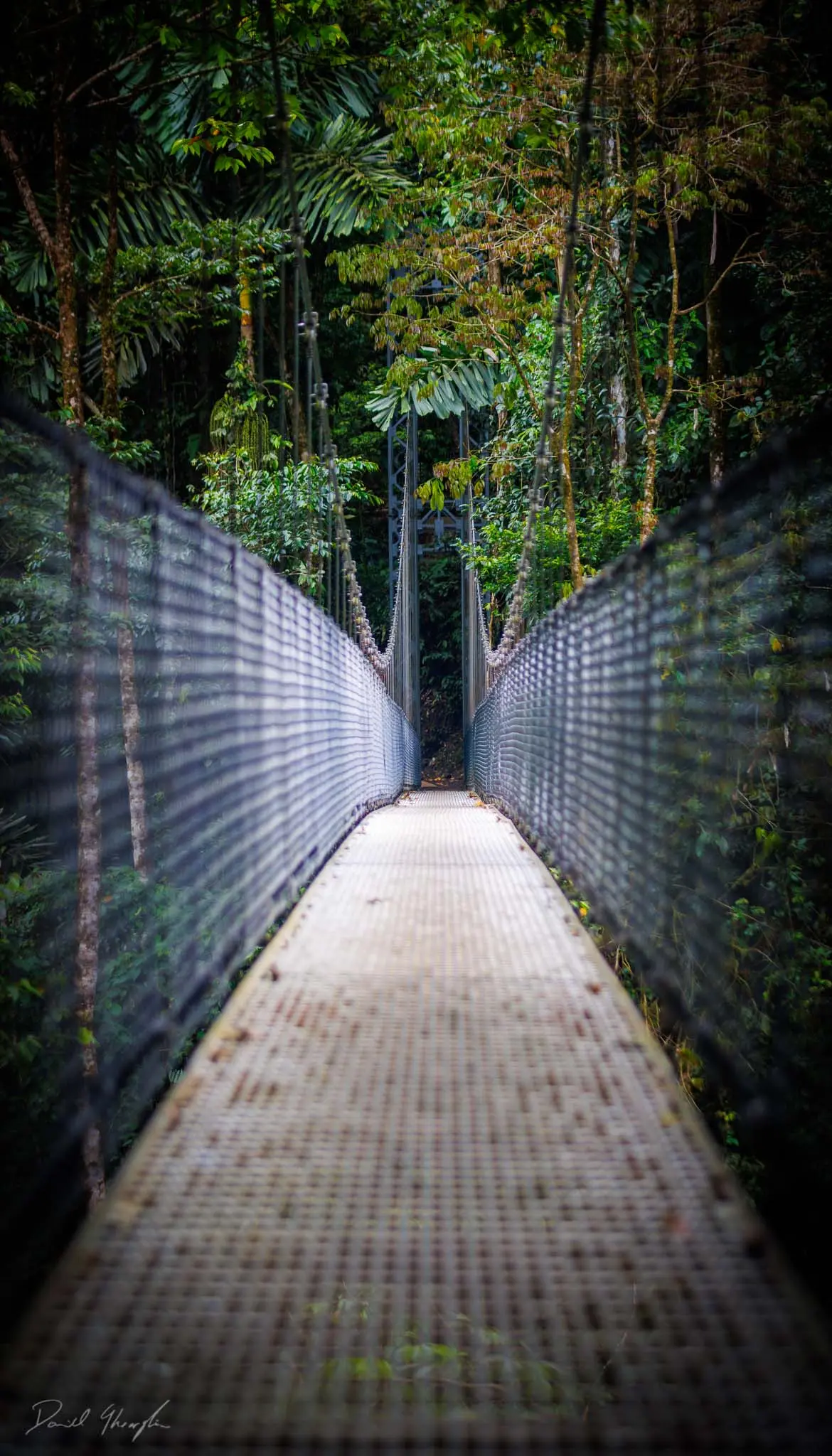 Arenal Bridge