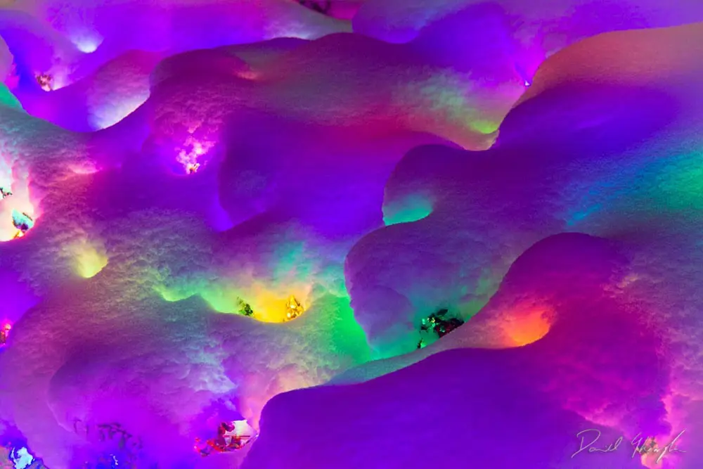 Colorful Winter