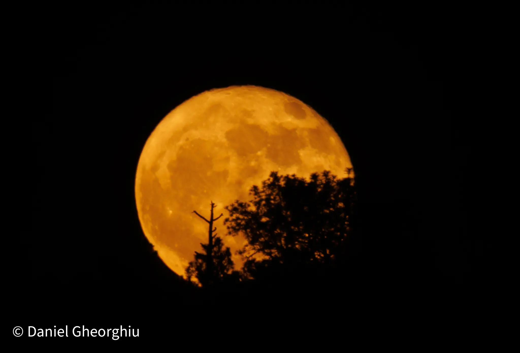 Moon 2
