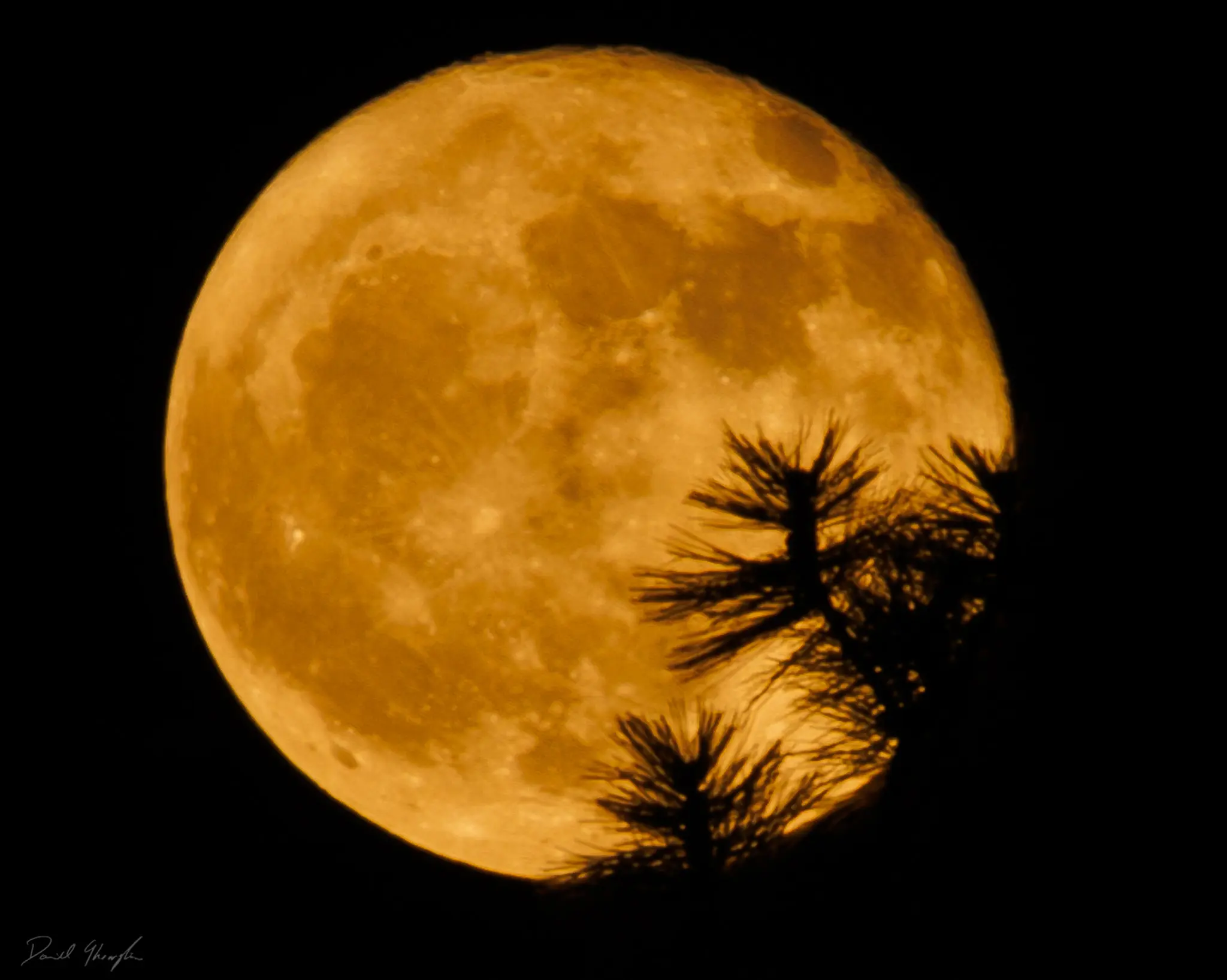 Moon 4