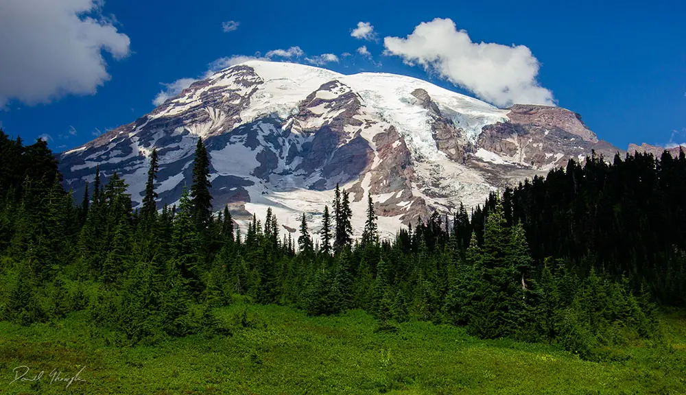 Mount Rainier