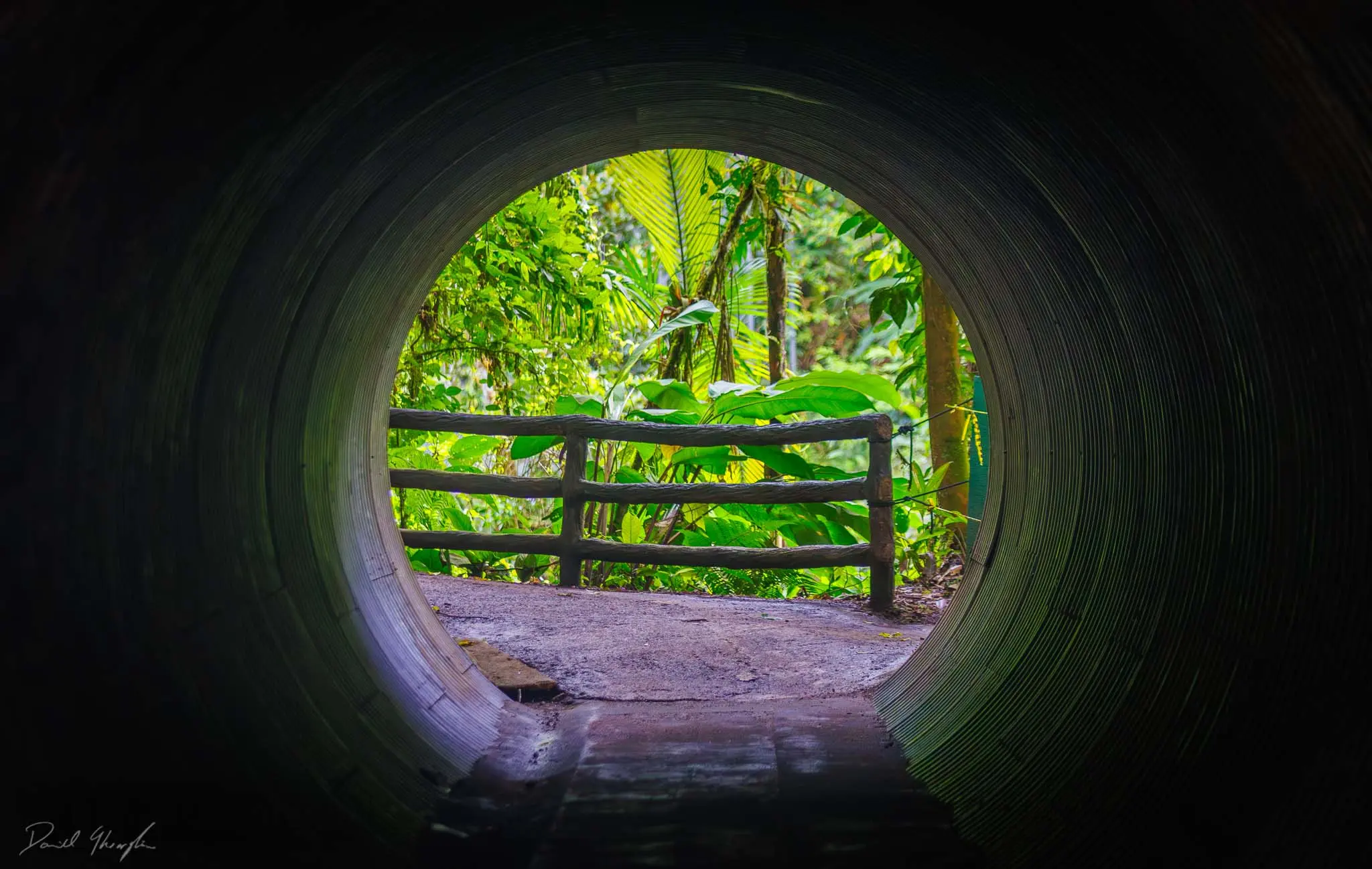 Tunel