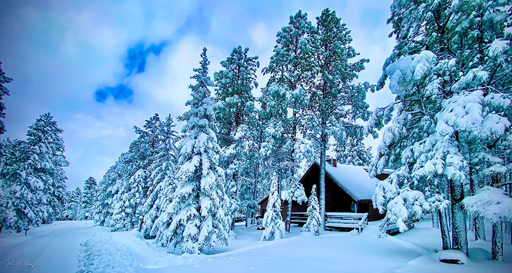 Winter Wonderland